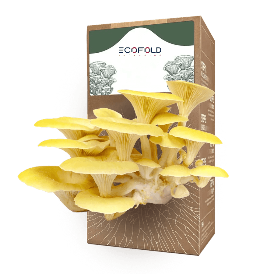 Cardboard Mushroom Boxes