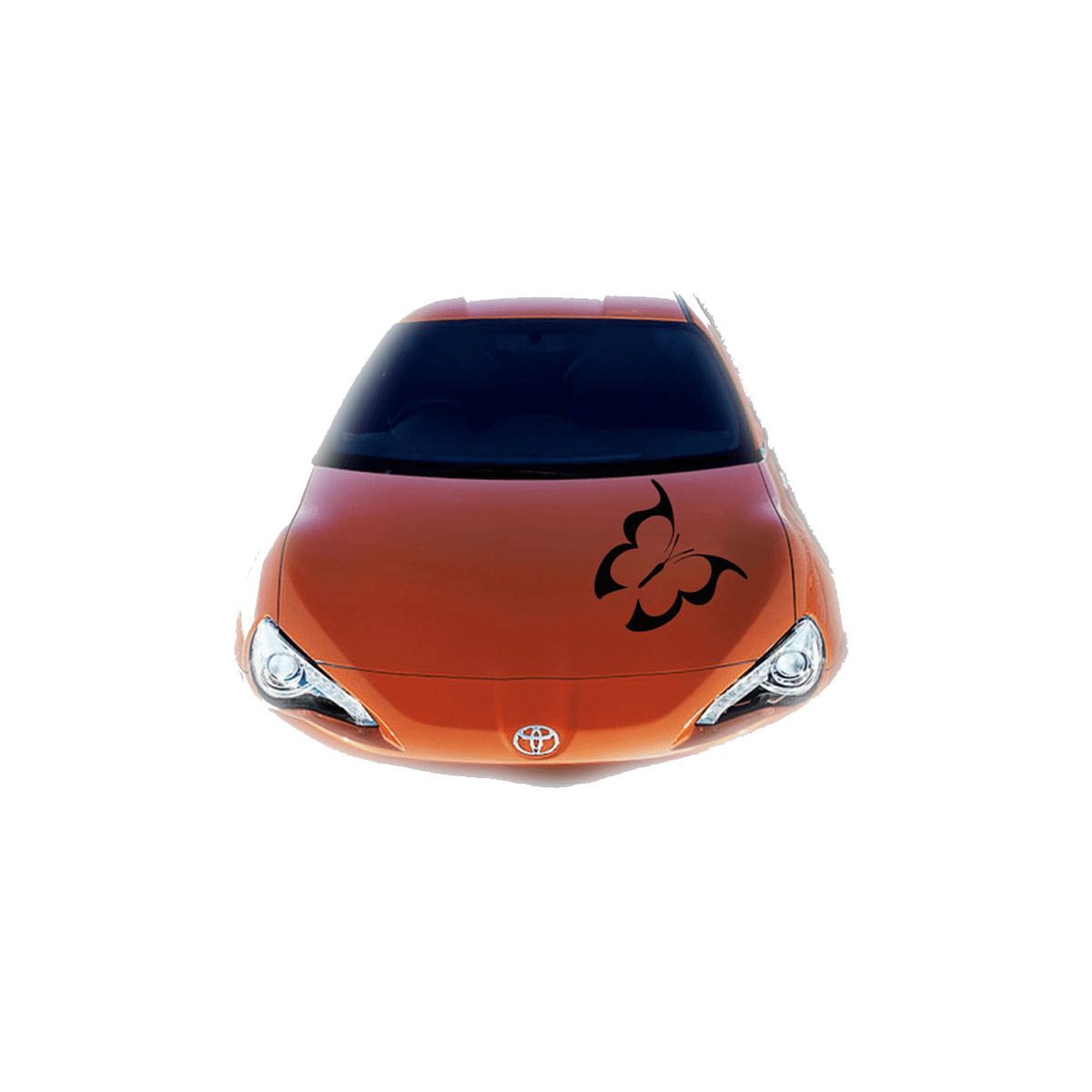 Custom Car Stickers