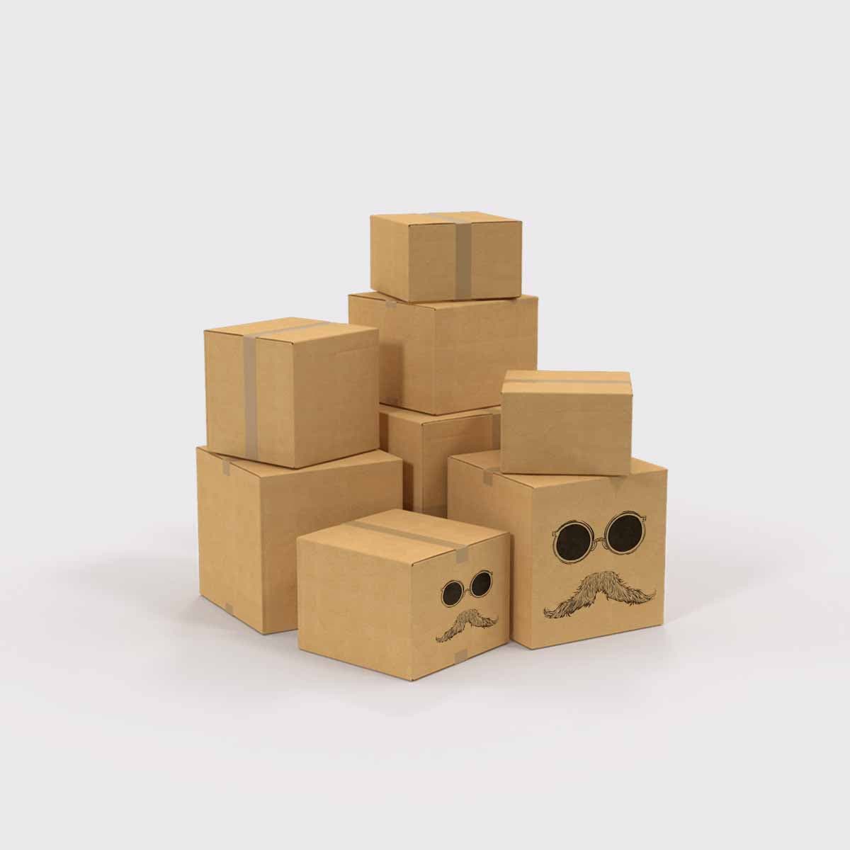 Custom Printed Cartons