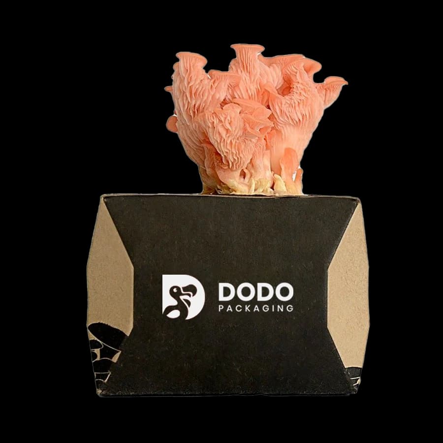 Mushroom Packaging